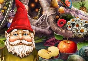 The Curious Gnome hidden objects game