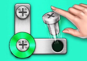 Nuts and Bolts Screw Puzzle Game