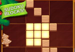 Sudoku Block Puzzle Game